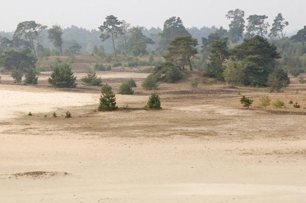 Herberg De Zwaan แอลสเปต ภายนอก รูปภาพ